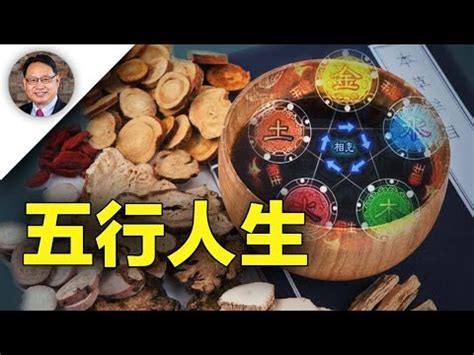 飲食業 五行|【飲食業五行】飲食業的五行奧秘：火與水的交融